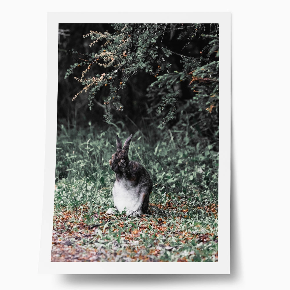 Poster RUSTIC FARMHOUSE RABBIT 2