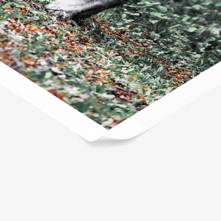 Poster RUSTIC FARMHOUSE RABBIT 2 -  Sticky 1