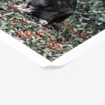 Poster RUSTIC FARMHOUSE RABBIT