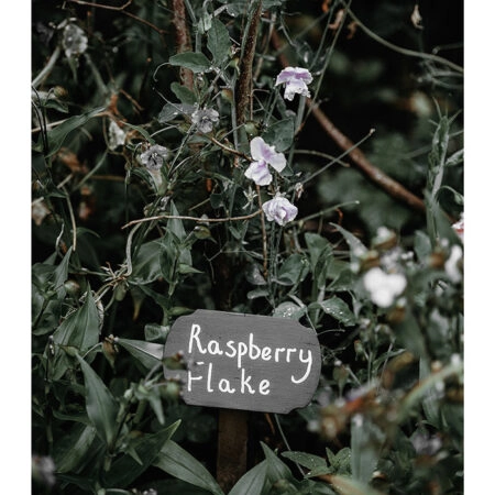 Poster RUSTIC FARMHOUSE RASPBERRY FLAKE -  Sticky 2