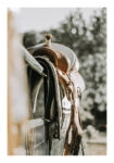 Poster RUSTIC FARMHOUSE SADDLE 2