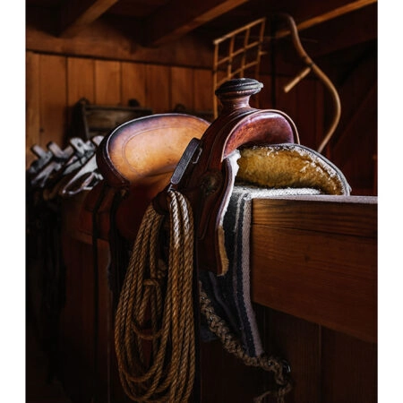 Poster RUSTIC FARMHOUSE SADDLE -  Sticky 2