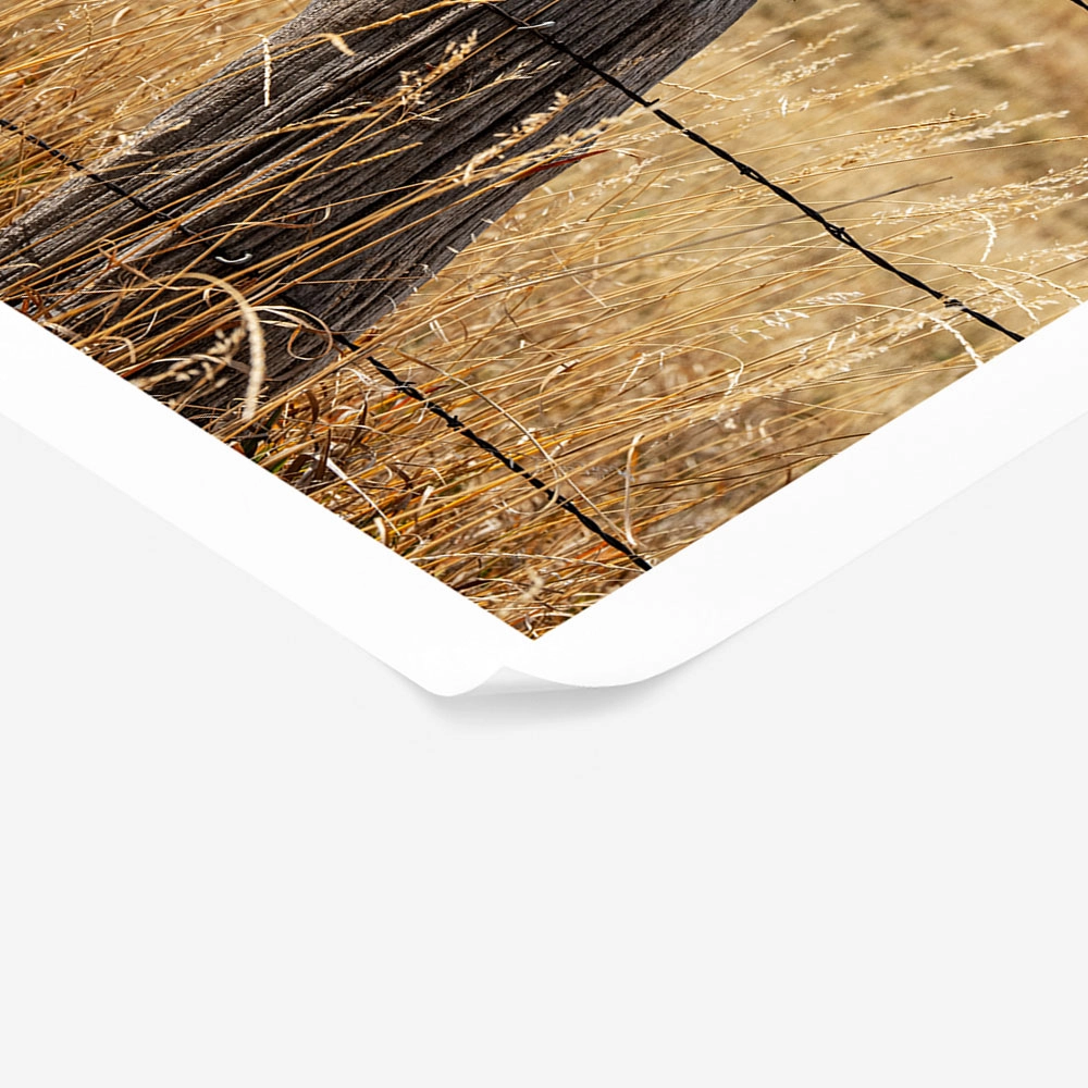 Poster RUSTIC FARMHOUSE SIGN POST