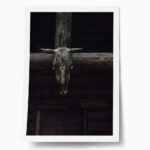 Poster RUSTIC FARMHOUSE SKULL
