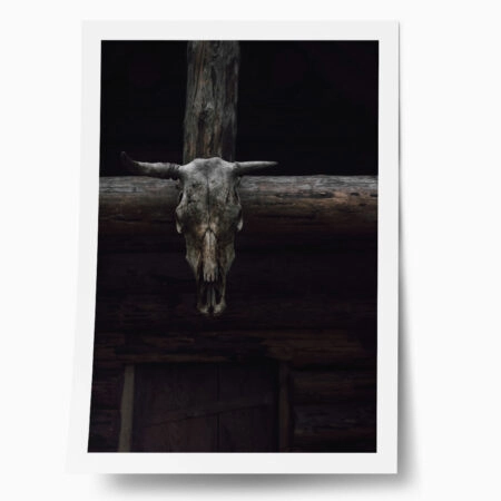 Poster RUSTIC FARMHOUSE SKULL - 