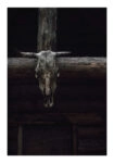 Poster RUSTIC FARMHOUSE SKULL