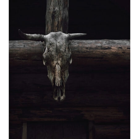 Poster RUSTIC FARMHOUSE SKULL -  Sticky 2