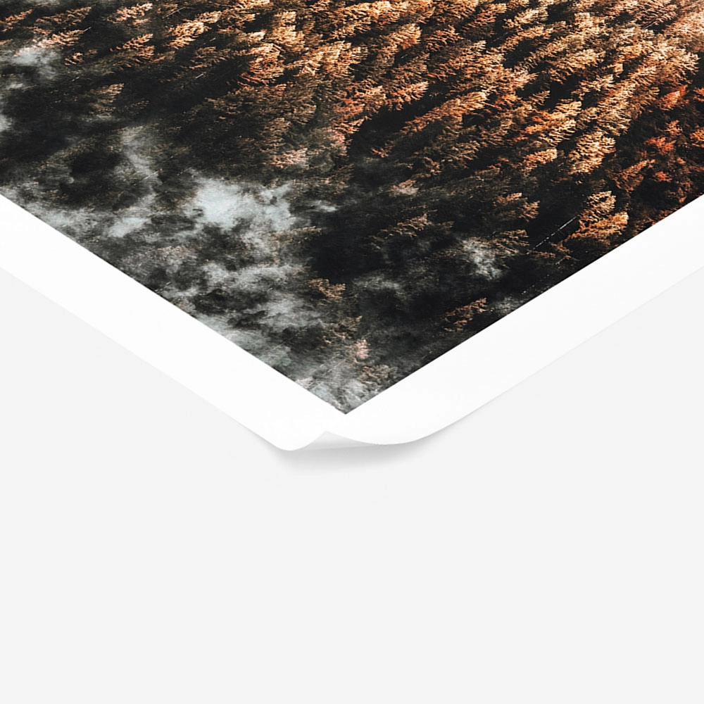 Poster RUSTIC FARMHOUSE SNOWY MOUNTAIN 2