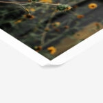 Poster RUSTIC FARMHOUSE SUNFLOWERS 2
