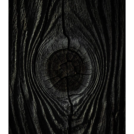Poster RUSTIC FARMHOUSE TREE BARK 2 -  Sticky 2