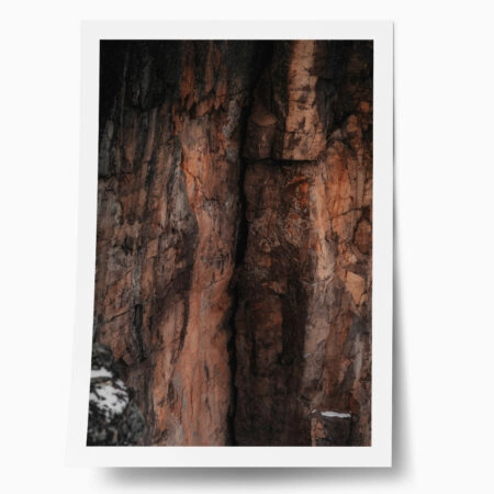 Poster RUSTIC FARMHOUSE TREE BARK 3 - 