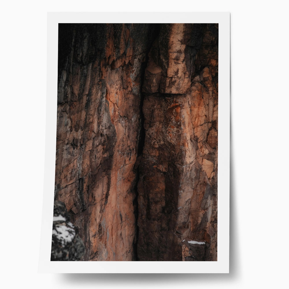 Poster RUSTIC FARMHOUSE TREE BARK 3