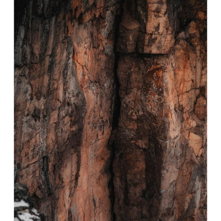 Poster RUSTIC FARMHOUSE TREE BARK 3 -  Sticky 2