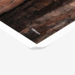 Poster RUSTIC FARMHOUSE TREE BARK 3