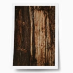 Poster RUSTIC FARMHOUSE TREE BARK 4