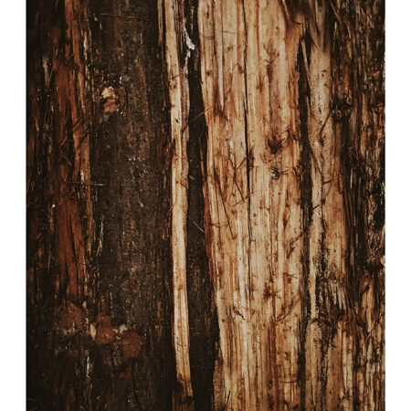 Poster RUSTIC FARMHOUSE TREE BARK 4 -  Sticky 2