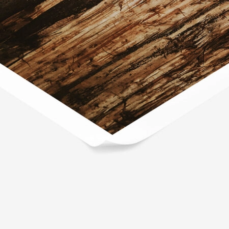 Poster RUSTIC FARMHOUSE TREE BARK 4 -  Sticky 1