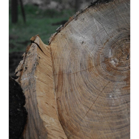Poster RUSTIC FARMHOUSE TREE BARK 5 -  Sticky 2