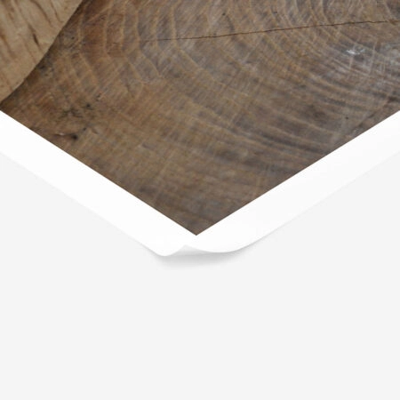Poster RUSTIC FARMHOUSE TREE BARK 5 -  Sticky 1