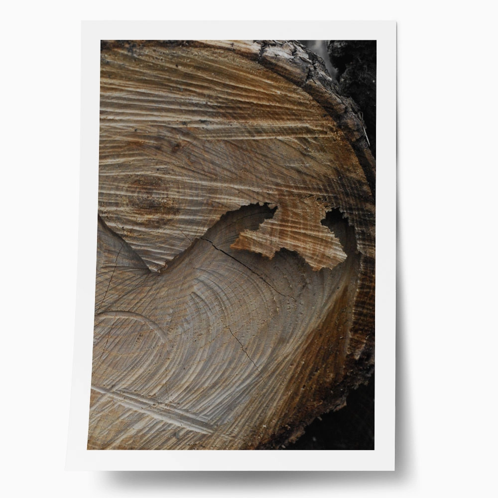 Poster RUSTIC FARMHOUSE TREE BARK 6