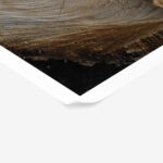 Poster RUSTIC FARMHOUSE TREE BARK 6
