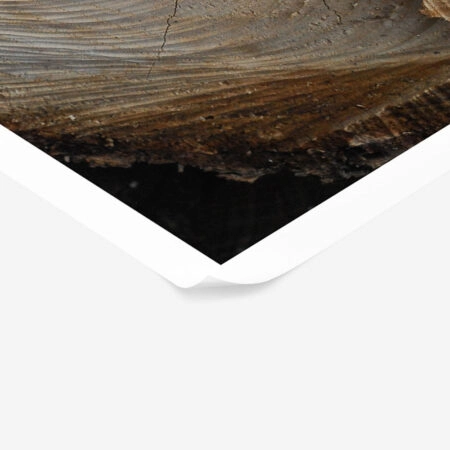 Poster RUSTIC FARMHOUSE TREE BARK 6 -  Sticky 1