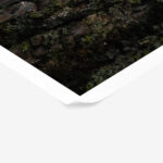 Poster RUSTIC FARMHOUSE TREE BARK 7