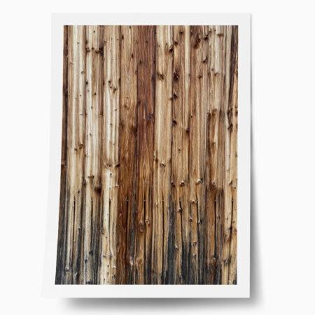 Poster RUSTIC FARMHOUSE TREE BARK 9 - 