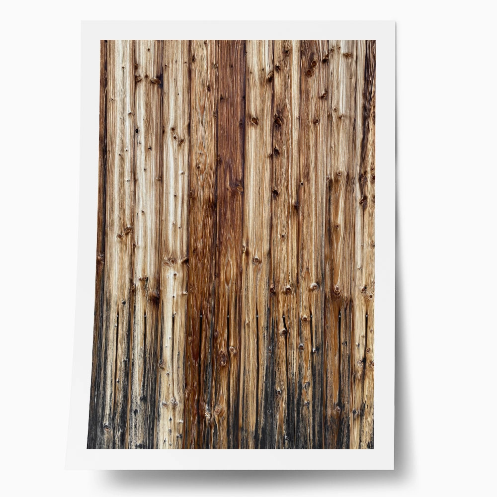 Poster RUSTIC FARMHOUSE TREE BARK 9