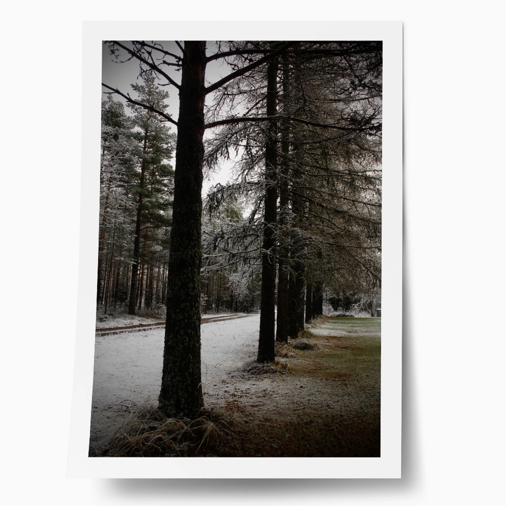 Poster RUSTIC FARMHOUSE TREE PATH