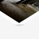 Poster RUSTIC FARMHOUSE TREE PATH
