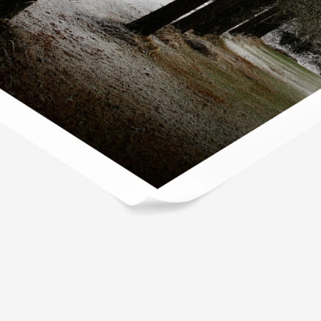 Poster RUSTIC FARMHOUSE TREE PATH -  Sticky 1