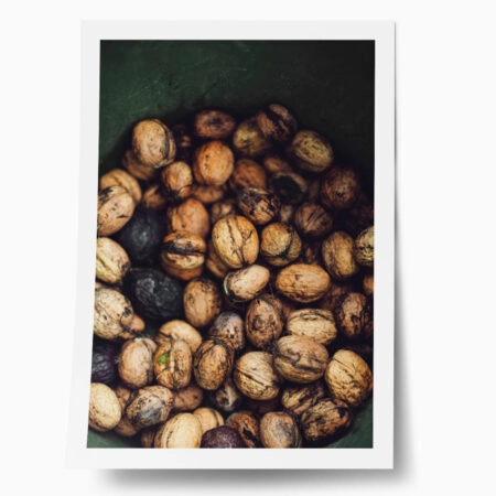 Poster RUSTIC FARMHOUSE WALNUTS - 