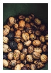 Poster RUSTIC FARMHOUSE WALNUTS