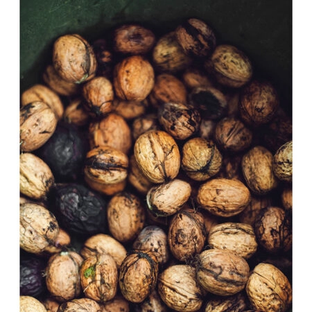 Poster RUSTIC FARMHOUSE WALNUTS -  Sticky 2