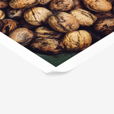 Poster RUSTIC FARMHOUSE WALNUTS -  Sticky 1
