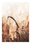 Poster RUSTIC FARMHOUSE WHEAT 2
