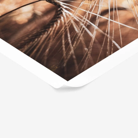 Poster RUSTIC FARMHOUSE WHEAT 2 -  Sticky 1