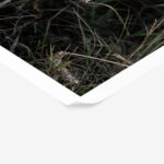 Poster RUSTIC FARMHOUSE WHEAT 3