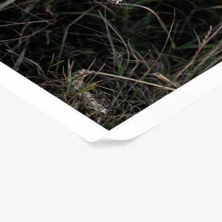 Poster RUSTIC FARMHOUSE WHEAT 3 -  Sticky 1