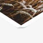 Poster RUSTIC FARMHOUSE WHEAT 5