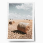 Poster RUSTIC FARMHOUSE WHEAT FIELD 2