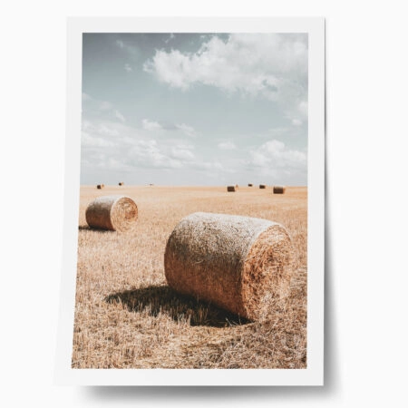 Poster RUSTIC FARMHOUSE WHEAT FIELD 2 - 