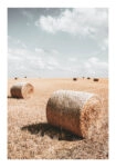 Poster RUSTIC FARMHOUSE WHEAT FIELD 2