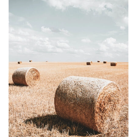 Poster RUSTIC FARMHOUSE WHEAT FIELD 2 -  Sticky 2