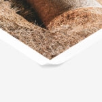 Poster RUSTIC FARMHOUSE WHEAT FIELD 2