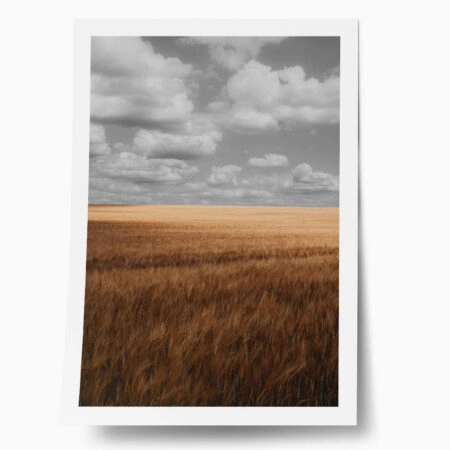 Poster RUSTIC FARMHOUSE WHEAT FIELD 4 - 
