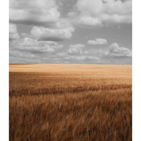 Poster RUSTIC FARMHOUSE WHEAT FIELD 4 -  Sticky 2