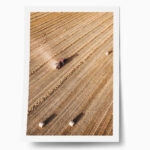 Poster RUSTIC FARMHOUSE WHEAT FIELD
