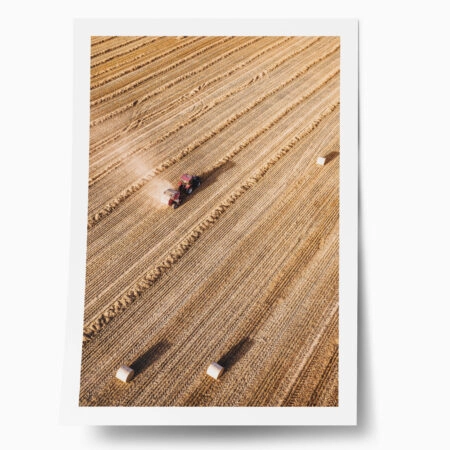 Poster RUSTIC FARMHOUSE WHEAT FIELD - 